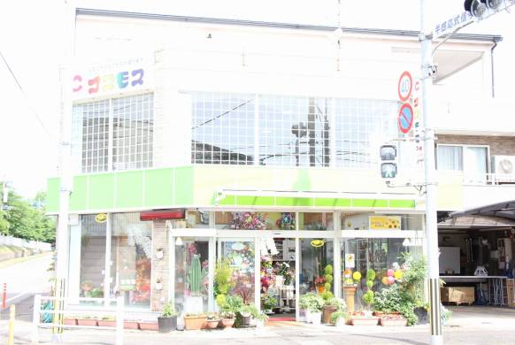 「フラワーショップコスモス」　（宮崎県小林市）の花屋店舗写真2