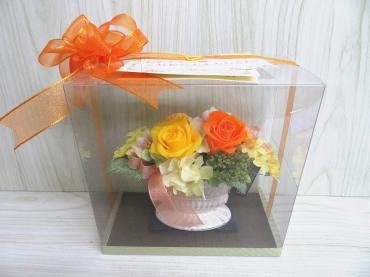 お祝い用に『プリモリエS』をお届けしました。｜「フラワーショップコスモス」　（宮崎県小林市の花キューピット加盟店 花屋）のブログ