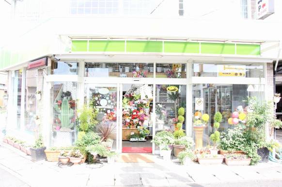 「フラワーショップコスモス」　（宮崎県小林市）の花屋店舗写真3